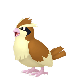 pidgey