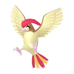 pidgeotto