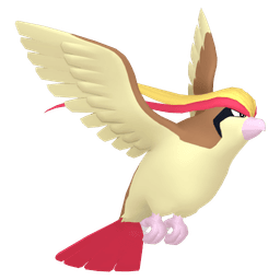 pidgeot