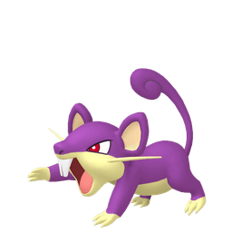 rattata