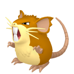 raticate